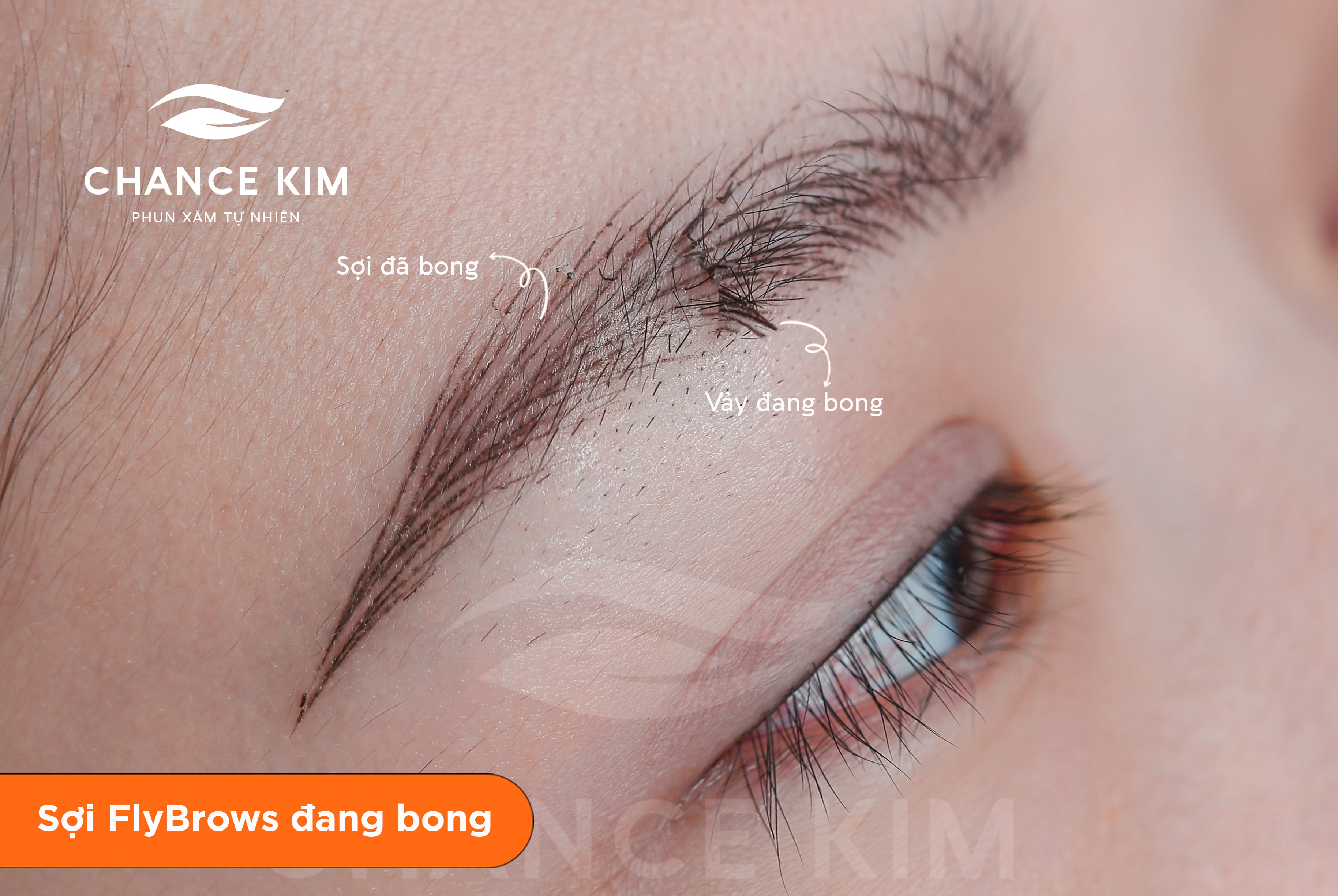 co-nen-tao-soi-long-may-FlyBrows-khong