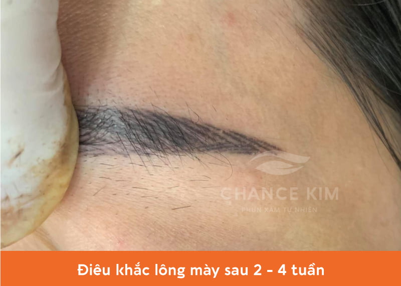 Điêu khắc lông mày sau 2-4 tuần