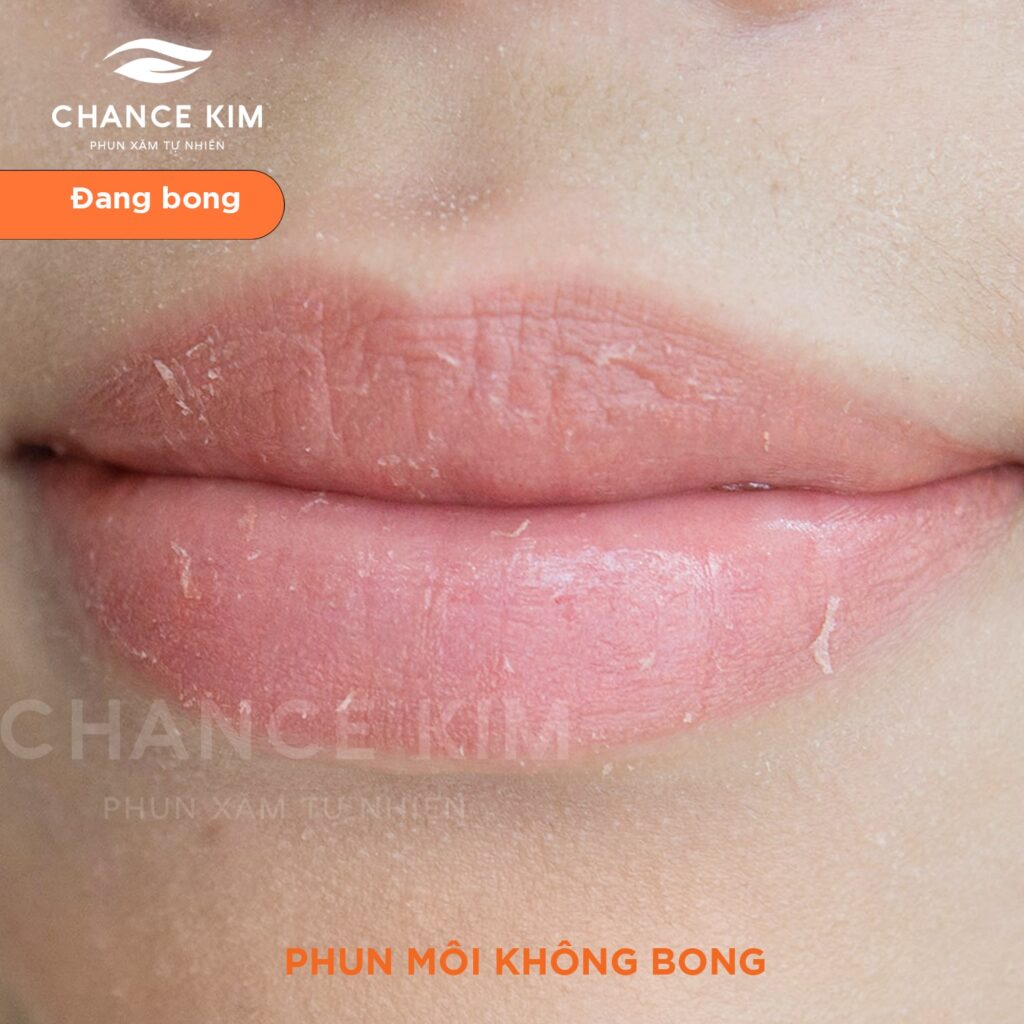 Nên phun môi không bong hay phun môi Lip mix