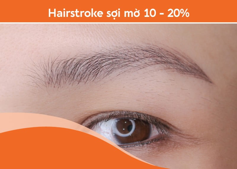 Hairstoke sợi mờ 10-20%