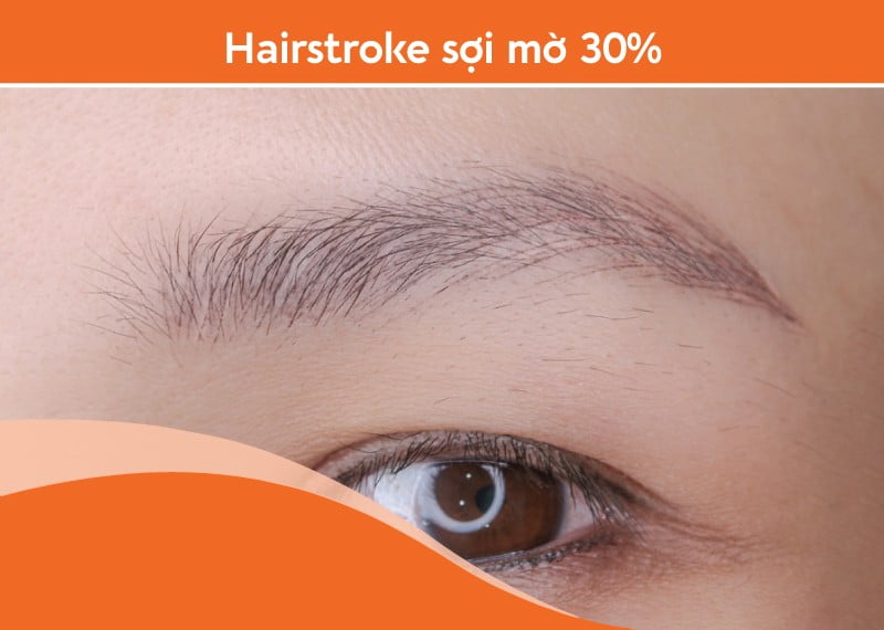 Hairstoke sợi mờ 33%