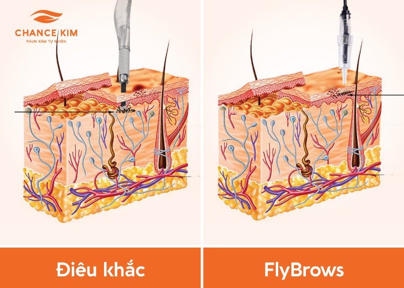 So sánh kỹ thuật đi sợi của công nghệ FlyBrows và phương pháp điêu khắc