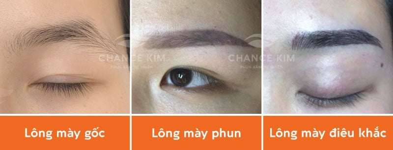 Lông mày trước khi thực hiện phun và điêu khắc
