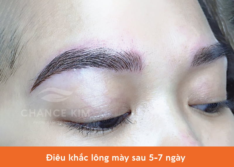 Điêu khắc lông mày sau 5-7 ngày