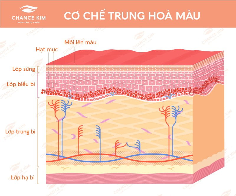 co che trung hoa mau sau phun moi