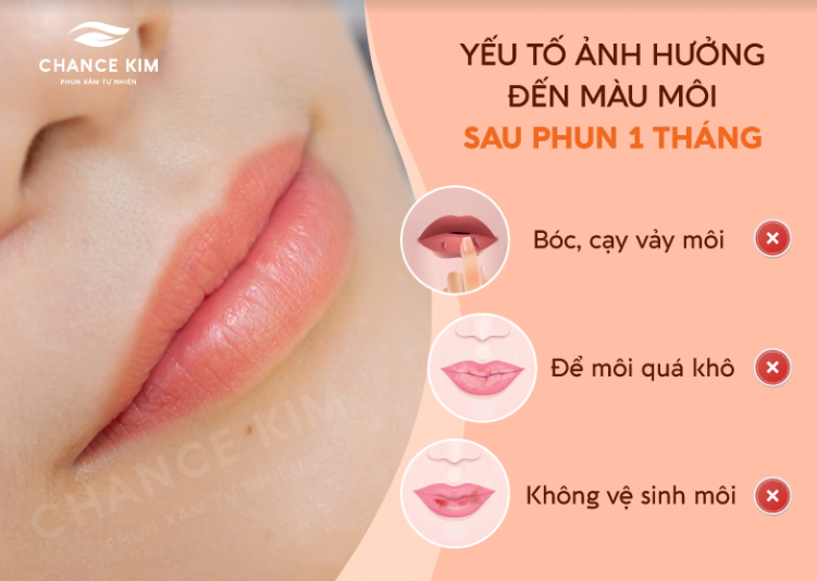 Yếu tố ảnh hưởng tới việc lên màu môi