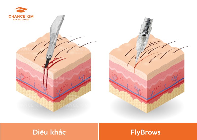 fly-brows-da-dau-co-duoc-khong