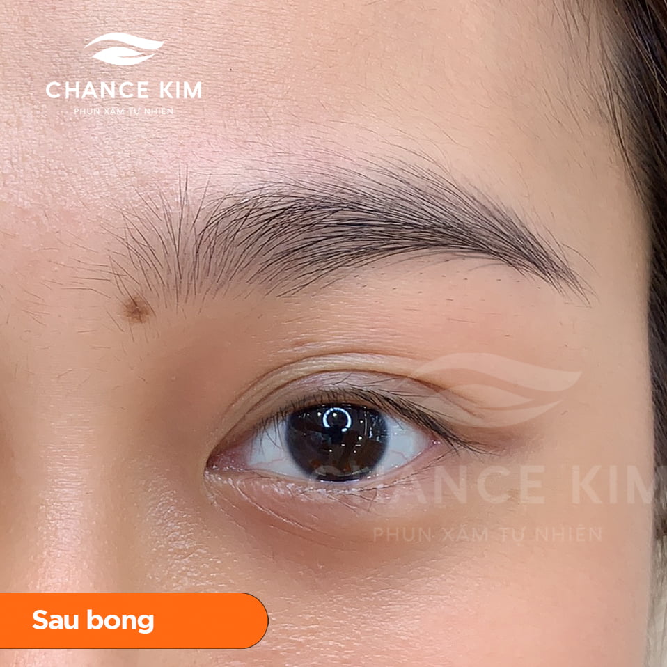 long-may-fly-brows-sau-bong