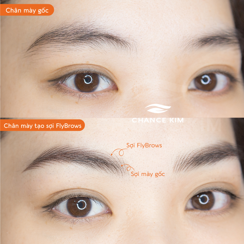 tao-soi-chan-may-fly-brows-co-tu-nhien-khong