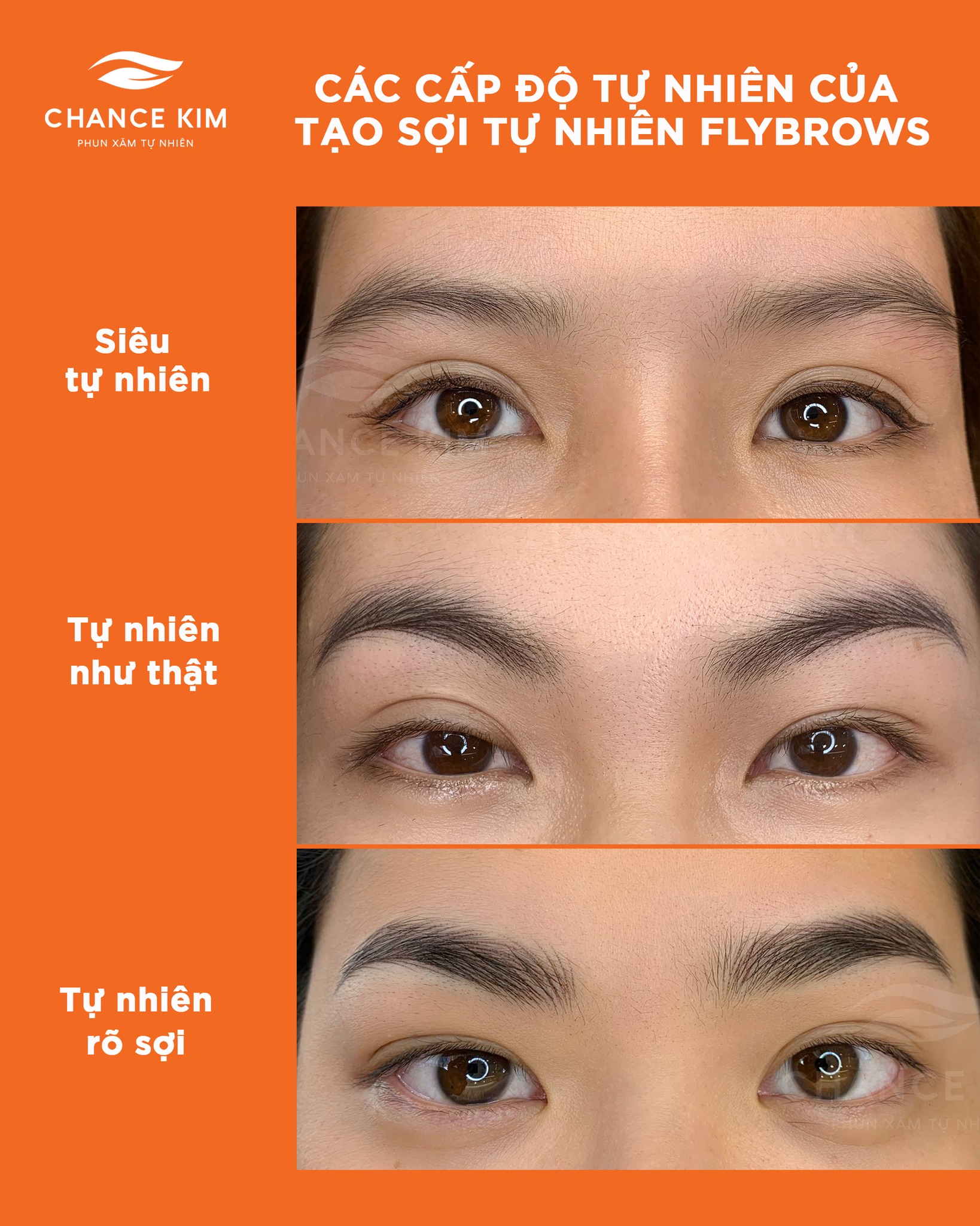 tao-soi-chan-may-fly-brows-co-tu-nhien-khong