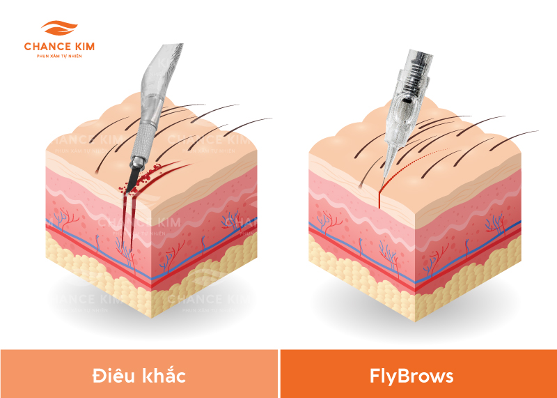 tao-soi-long-may-fly-brows-bao-lau-thi-duoc-rua-mat