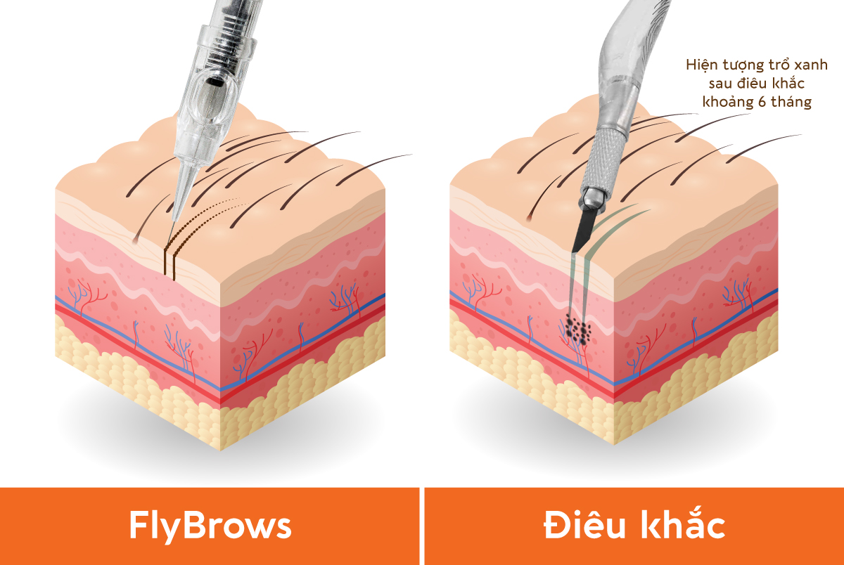 tao-soi-long-may-fly-brows-co-bi-xanh-khong