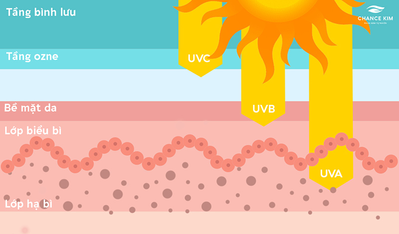 Sau khi khử thâm nên tránh để ánh nắng tiếp xúc trực tiếp với môi, có thể sản sinh Melanin