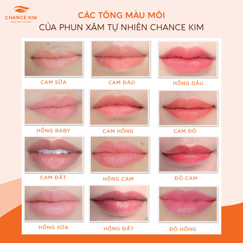 bang mau phun moi collagen 1