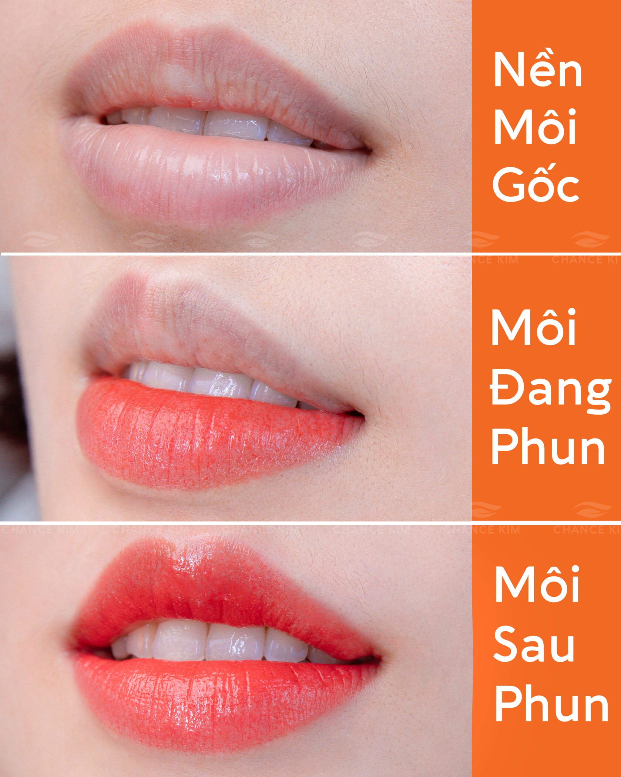 Phun xăm tự nhiên Chance Kim - Khi làm đẹp trở thành nghệ thuật 8 Phun xăm tự nhiên là gì ? Khác gì với phun xăm truyền thống ?